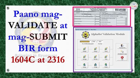 How to Download, Data Entry, Validate and Submit in the BIR .